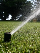 lawn irrigation